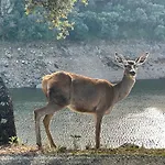 Naranjos Eco Rurales Apartment Casas de Millan