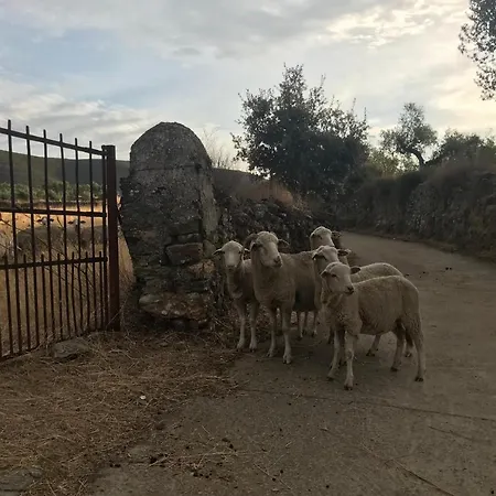 Naranjos Eco Rurales Apartamento Casas de Millan