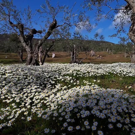 Apartamento Naranjos Eco Rurales