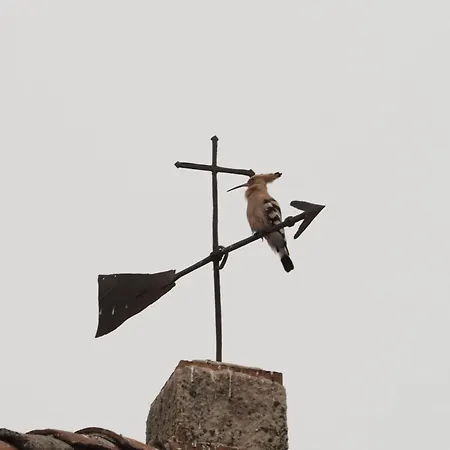 Naranjos Eco Rurales * Casas de Millan