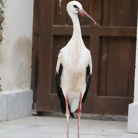 Naranjos Eco Rurales Apartamento