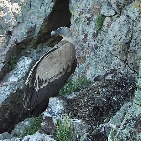 Naranjos Eco Rurales Apartamento