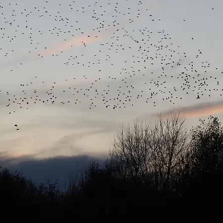 Naranjos Eco Rurales *